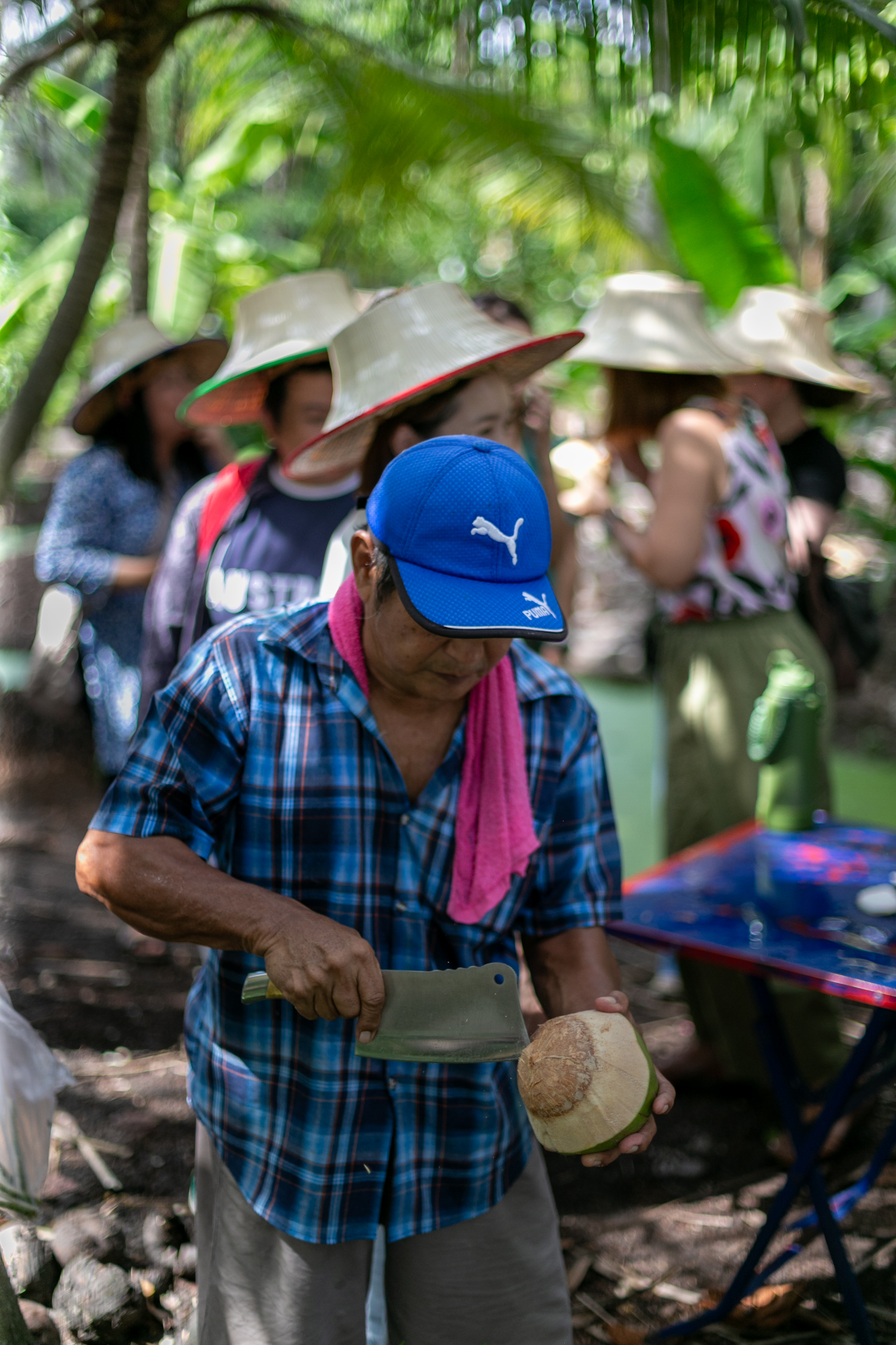 A local farmer cracking open a fresh coconut with a cleaver for the tour group.