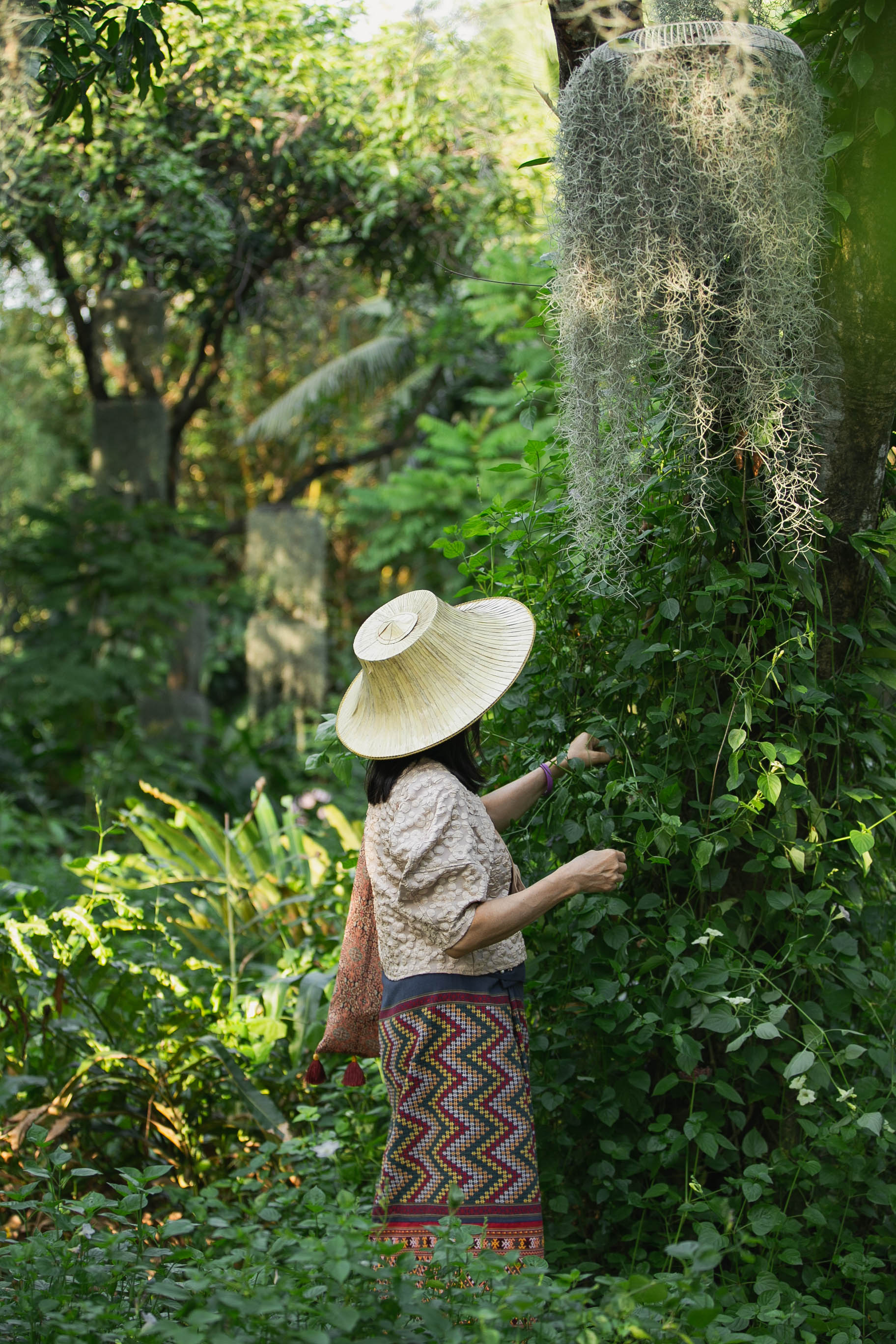 A visitor in traditional dress looking up at Spanish moss hanging from a tree in the garden.
