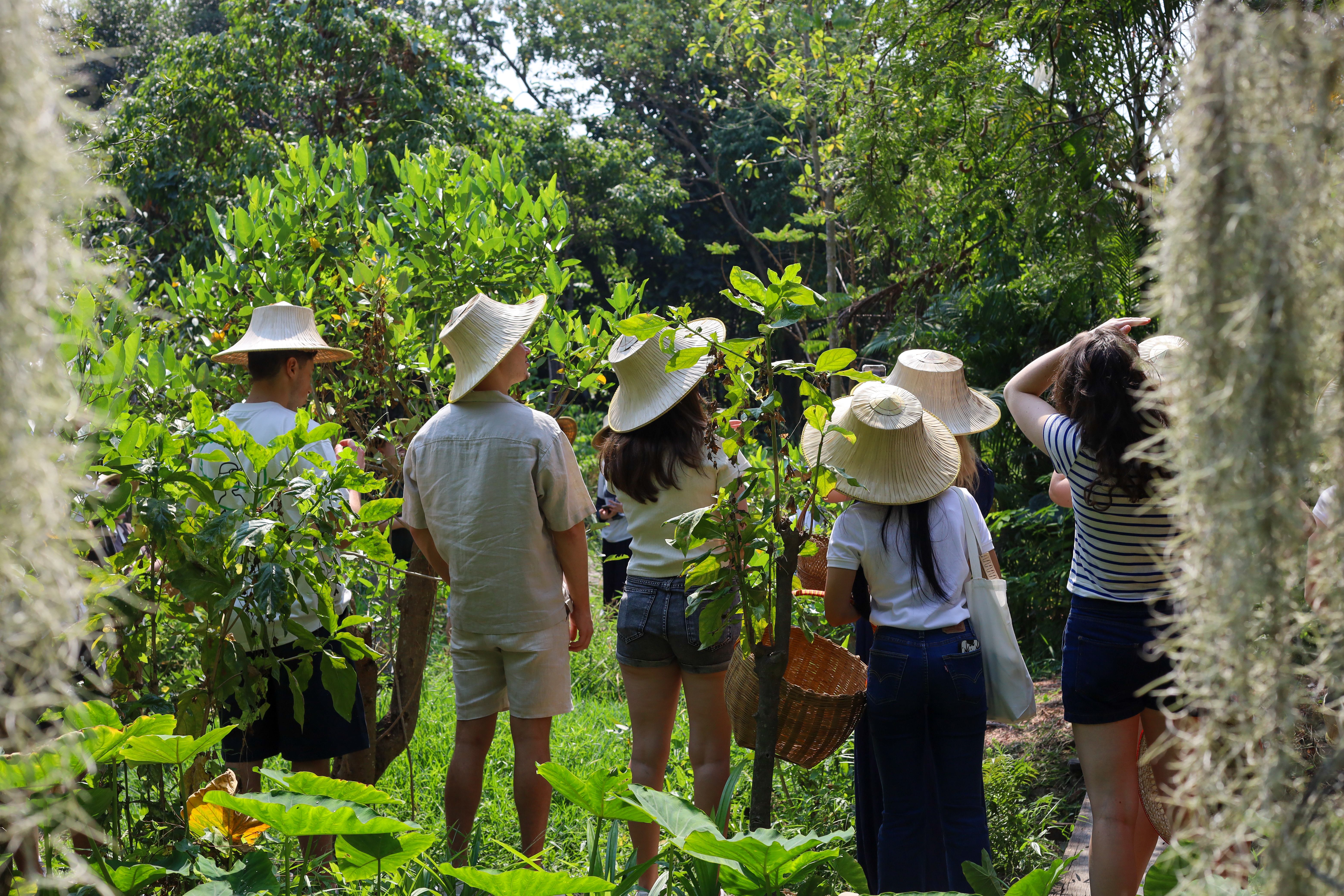 A group of visitors carrying woven baskets, stopping to learn about plants along the garden path.