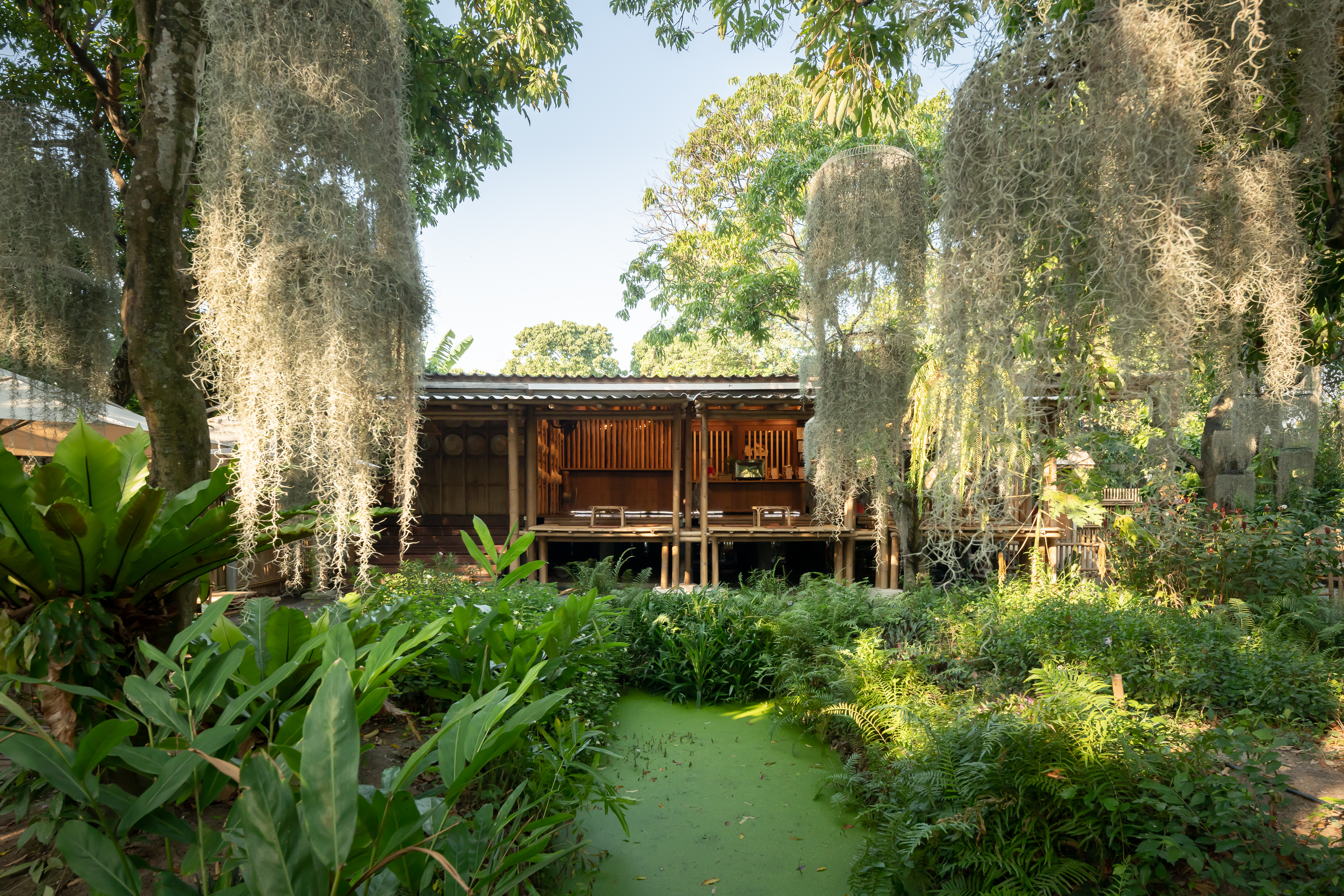 A bamboo pavilion at Poomjai Garden framed by hanging Spanish moss, overlooking a moss-covered canal.